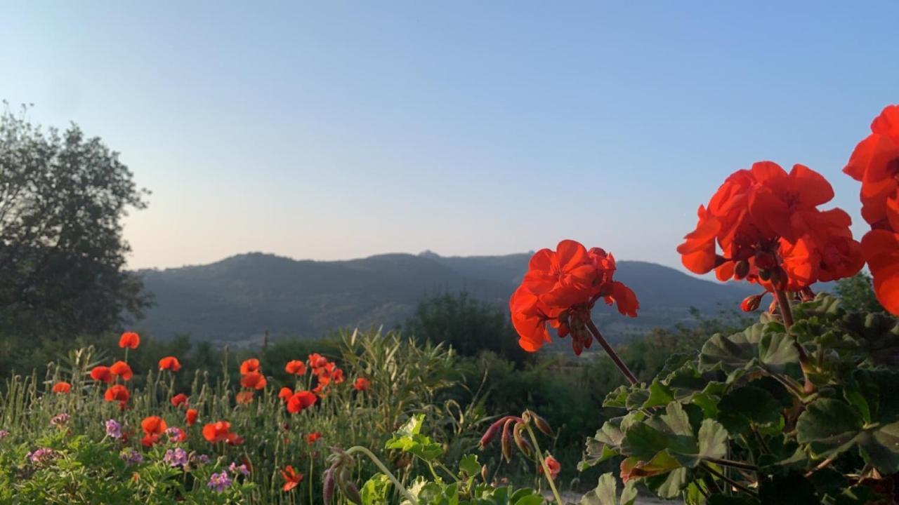 La Roulotte U Sognu Panzió Muro  Kültér fotó